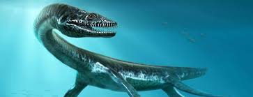 Image result for Elasmosaurus