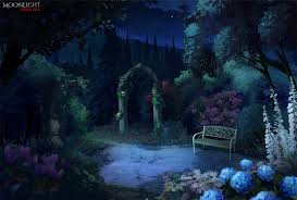 Chaque histoire est divisée en chapitres. Les Illustrations Moonlight Soluces