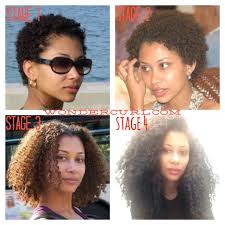 The 4 Stages Of Natural Hair What Stage Are You In Natural Hair Styles Natural Hair Journey Hair Journey
