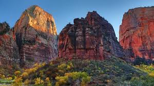 Home » nature » zion national park. Wallpaper Zion National Park Utah Usa Rock Mountains Trees Nature 1920x1200 Hd Picture Image