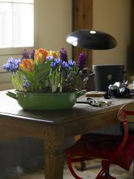 I've also included lots of tips for you that will help during fall planting time, from be sure to also check out my post for winter flowering plants to add a splash of color to your cold weather garden. How To Force Bulbs To Bloom Inside In Winter Pennlive Com