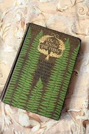 How To Know Your Ferns Vintage Book Covers Book Cover Art Vintage Book Cover