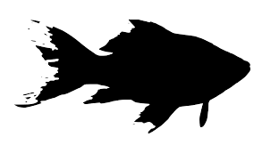 Download Svg Fish Tail Pet Aquarium Free Svg Image Icon Svg Silh