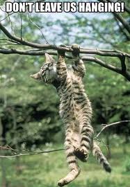 images?q=tbn:ANd9GcR66DoucfF6FczCPM-wafe