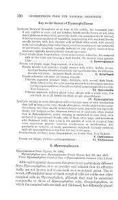 Image result for Trichomanes crispiforme