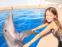 About us gulf world marine park hours are 10am to 3pm. Top 10 Best Aquariums In Florida With Photos Trips To Discover