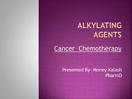 Image result for Alkylating Agent