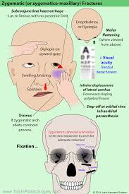Sign In Oral Surgeon Medical Facts Medical Anatomy