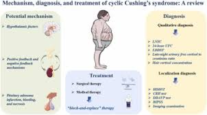 Image result for Cushing Response