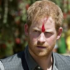 Harry Cote's Instagram, Twitter & Facebook