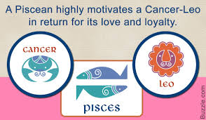 relationship compatibility of the cancer leo cusp with other