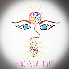 Une Naissance Lotus En Conscience, Qu'est-Ce Que C'est ? - Doula Valérie -  Accompagnante À La Naissance