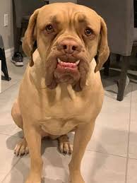 Good morning to all 🥰🥰 🌺