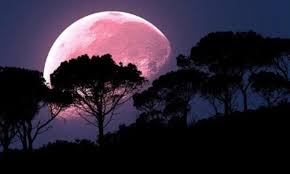 = luna nuova = primo quarto, mezzaluna = luna piena = ultimo quarto, mezzaluna = eclissi lunare, luna piena. Luna Piena Della Fragola Quando E Dove Vederla In Italia Periodico Daily