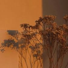 Download Wes Leach album songs: Best Part