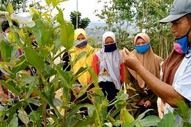 We did not find results for: Menilik Pesantren Berbasis Pertanian Di Pegunungan Cilacap Milenial