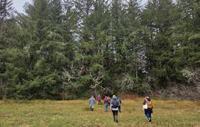 After 11 days of searches, diver finds missing Siletz boy Tuesday three  miles downstream from family's home • YachatsNews.com