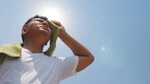 We did not find results for: Hati Hati Ini Dampak Kekurangan Elektrolit Dalam Tubuh