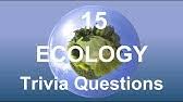 Do you know the secrets of sewing? Eco Quiz Earth Day Special Environment Eco Quiz Ecoquiz Earthday2021 Youtube