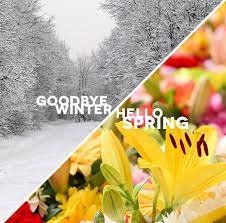 Mar 19, 2021 · explore south africa holidays and discover the best time and places to visit. Spring Day 9 Tweets About Spring That Are So Uniquely South African Eyethu News