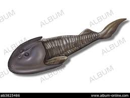 Image result for Cephalaspis