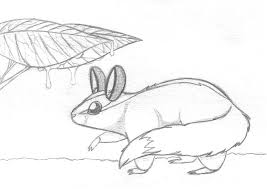 Maybe you would like to learn more about one of these? Sugar Glider Inspired Thingy By Sunnyfish On Deviantart