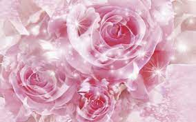 Shining Pink Roses Pink Flowers Wallpaper Beautiful Pink Roses Flower Wallpaper