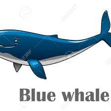 The shinwari afghans, well known for their culinary skills, come from a region famed for its karahi and barbecued meats. Balena Blu Posts Facebook