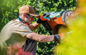 One dry, hot sunny day is all it takes to wipe out a new lawn. 2021 Lawn Mower Repair Cost With Local Prices Homeguide