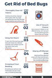 Home Remedies To Get Rid Of Bed Bugs Rid Of Bed Bugs Bed Bug Remedies Bed Bugs