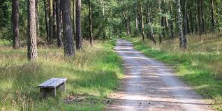 It boasts some of the most interesting attractions around town including latinskolan, sankta explore a full list of accommodations and find the perfect place for you. Ystads Sandskogs Naturreservat Nature Reserve Near Ystad Guidebooksweden