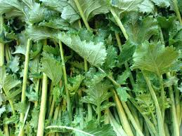 Fotos gratis : verano, comida, verde, hierba, Produce, vegetal, vegetales,  vegetariano, Vitaminas, Collard greens, acelga, Rappa, Planta de mostaza,  Brassica rapa, Vegetal de hoja, Choy sum, Rapini, Komatsuna 3264x2448 - -  661281 - Imagenes gratis - PxHere