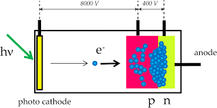 What are the differences between a photon detector and a thermal detector? Which Sensor Is The Best For Confocal Imaging Learn Share Leica Microsystems