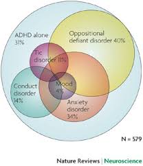 Check spelling or type a new query. Beyond Polemics Science And Ethics Of Adhd Nature Reviews Neuroscience