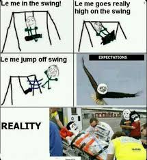 Expectations Vs Reality Meme By Victinidash Memedroid