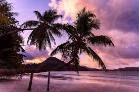 Beach ocean california santacruz sunset. Purple Sunset At Tropical Sandy Beach By Marko Klaric Photo Stock Snapwire