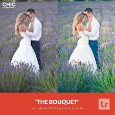 Let's find out 2 legal ways of how to download lightroom free in 2021, as well as the secret dangers of piracy and review the best lightroom free alternatives. Free Lightroom Preset The Bouquet Download Now