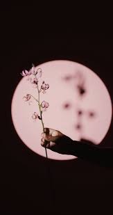 We did not find results for: 3 000 Best Aesthetic Wallpaper Videos 100 Free Download Pexels Stock Videos