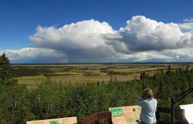 Most campgrounds fill to capacity very quickly especially during the summer months and availability is first come first serve. Wood Buffalo National Park Spectacular Northwest Territories