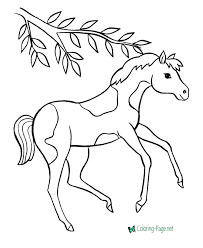 For kids who love horses, horse coloring pages can keep them busy doing a fun horse related coloring activity. Horse Coloring Pages