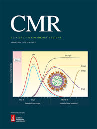 Hsv stands for herpes simplex virus. Current Concepts For Genital Herpes Simplex Virus Infection Diagnostics And Pathogenesis Of Genital Tract Shedding Clinical Microbiology Reviews