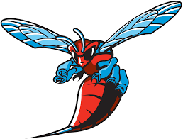 No unit, department or other csu entity may create its own logo. Delaware State Hornets Wikipedia