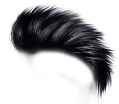 Cb Hair Png Hd Download New Hair Png 199709 Png Images Pngio Men hair png image format: cb hair png hd download new hair png