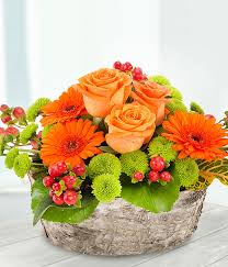 Coral Reef The Flower Bowl Florist Rathgar Dublin 6