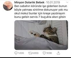 yuz gulumseten resimler my name is cat komik seyler komik capsler komik goruntuler