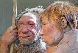 L'uomo di neanderthal si chiama così perché il primo esemplare è stato ritrovato in germania, nella valle del fiume neander. Scoperta L Abilita Manuale Dell Uomo Di Neanderthal Laregione