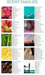 Scent Families Schedule Your Blending Bar To Take Out Scent Profile Quiz To See Which Areas You Love Most Essential Oil Blends Bay Rum Japanese Cherry Blossom