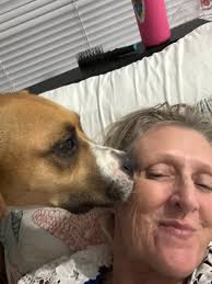 adopting a potcake dog in nassau