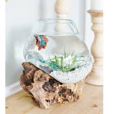 Misalnya ikan cupang memiliki panjang. Harga Aquarium Koleksi Terbaik Peliharaan Perawatan Hewan Hobi Koleksi April 2021 Shopee Indonesia