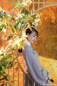 ghim của bạch khả linh lan tren nữ cổ trang